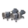 Gearbox motor