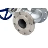 Gate Valve 2 Manual Gate Valve