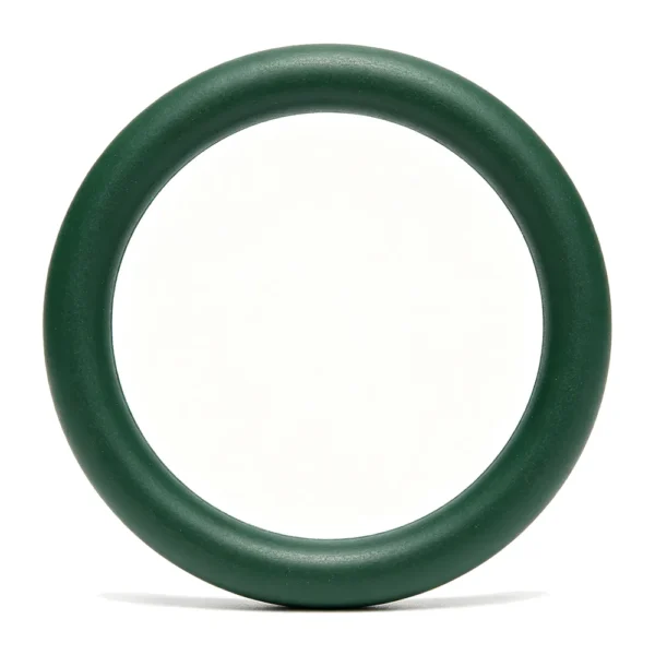 O-ring (2) Food Grade Fluororubber O Ring Seal